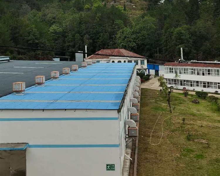 合作多年的客戶又加機(jī)了